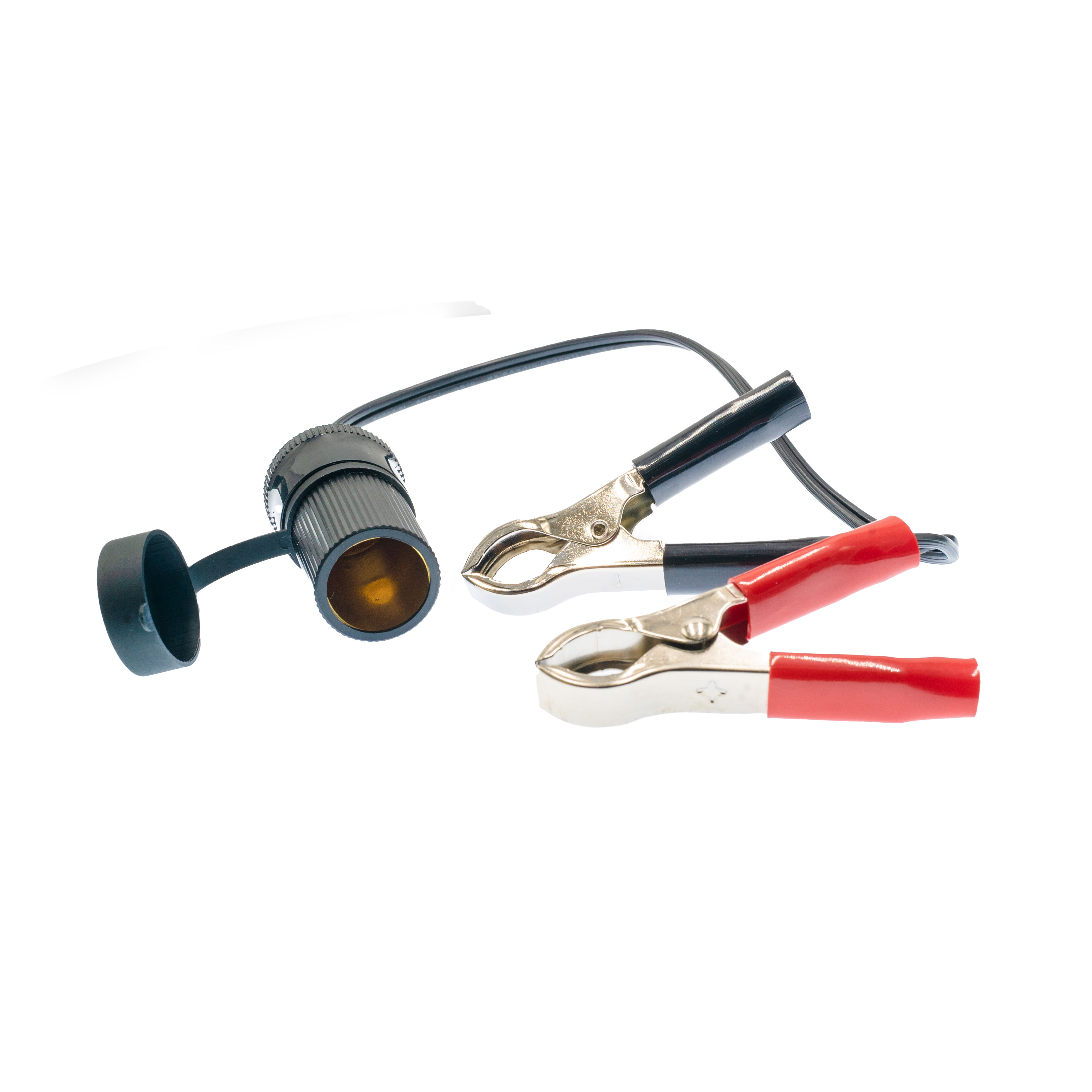 AUTO CBL ASSY W/SCKT 12'