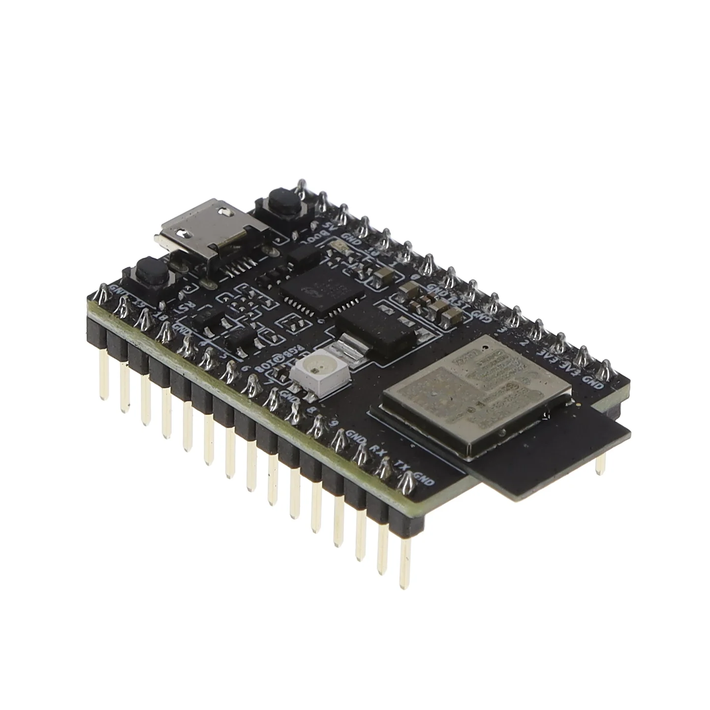 ENTRY-LEVEL DEVELOPMENT BOARD