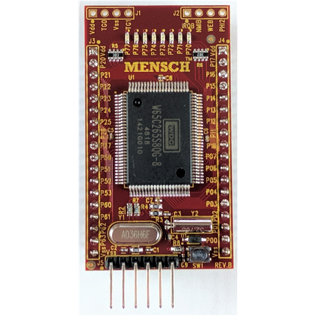 W65C265S MCU MICROCOMPUTER BRD