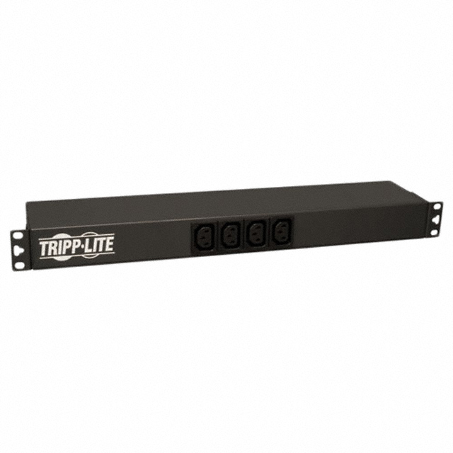 PDU BASIC DUAL VOLT C19