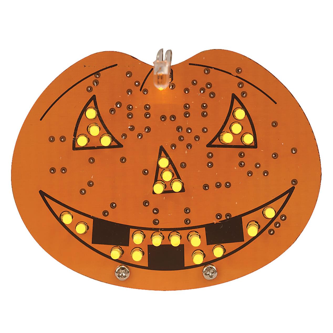 HALLOWEEN PUMPKIN,25 LED,9VDC,