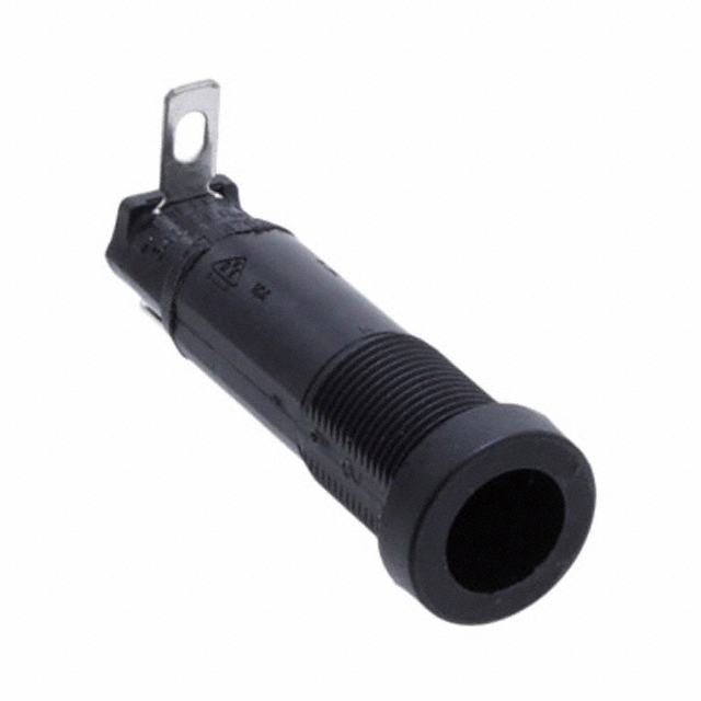 FUSE HLDR BODY 250V 20A PNL MNT