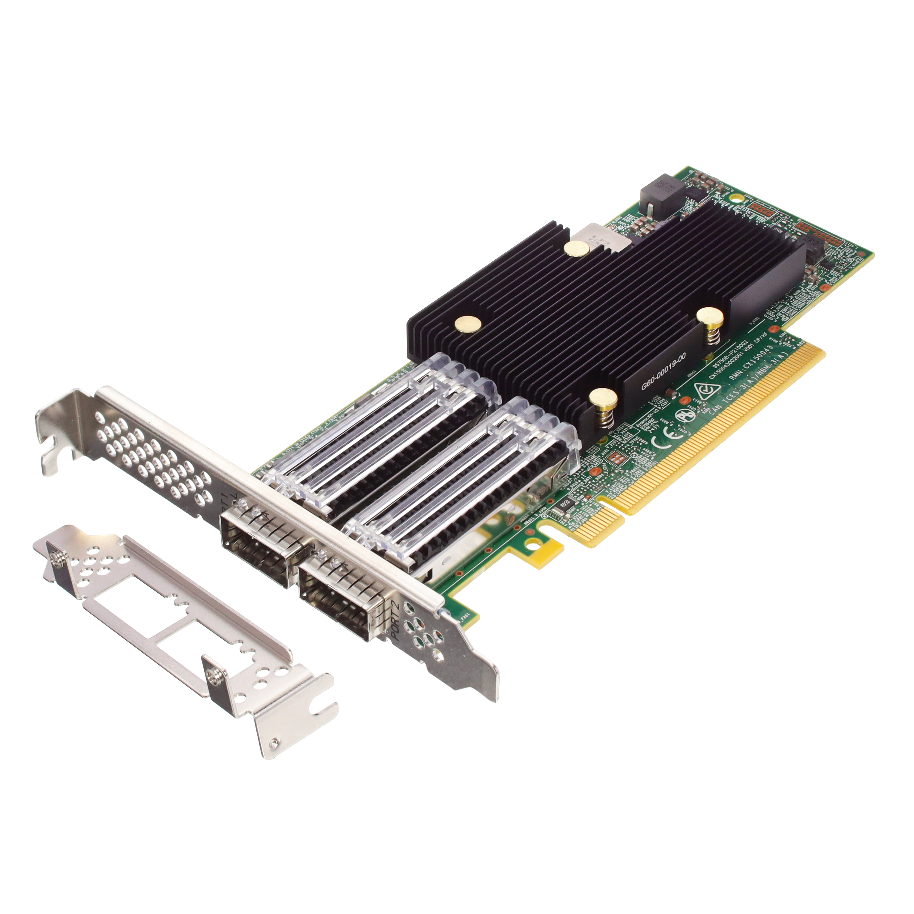 2 PORT 100G ETHERNET (LAN)