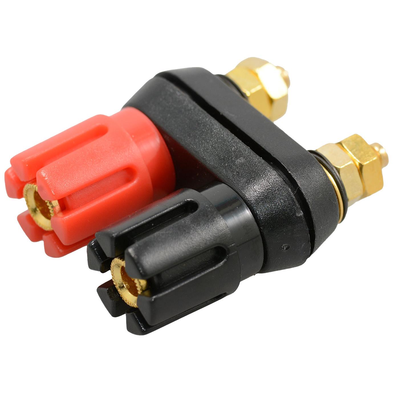 Dual Binding Posts with Base Cha