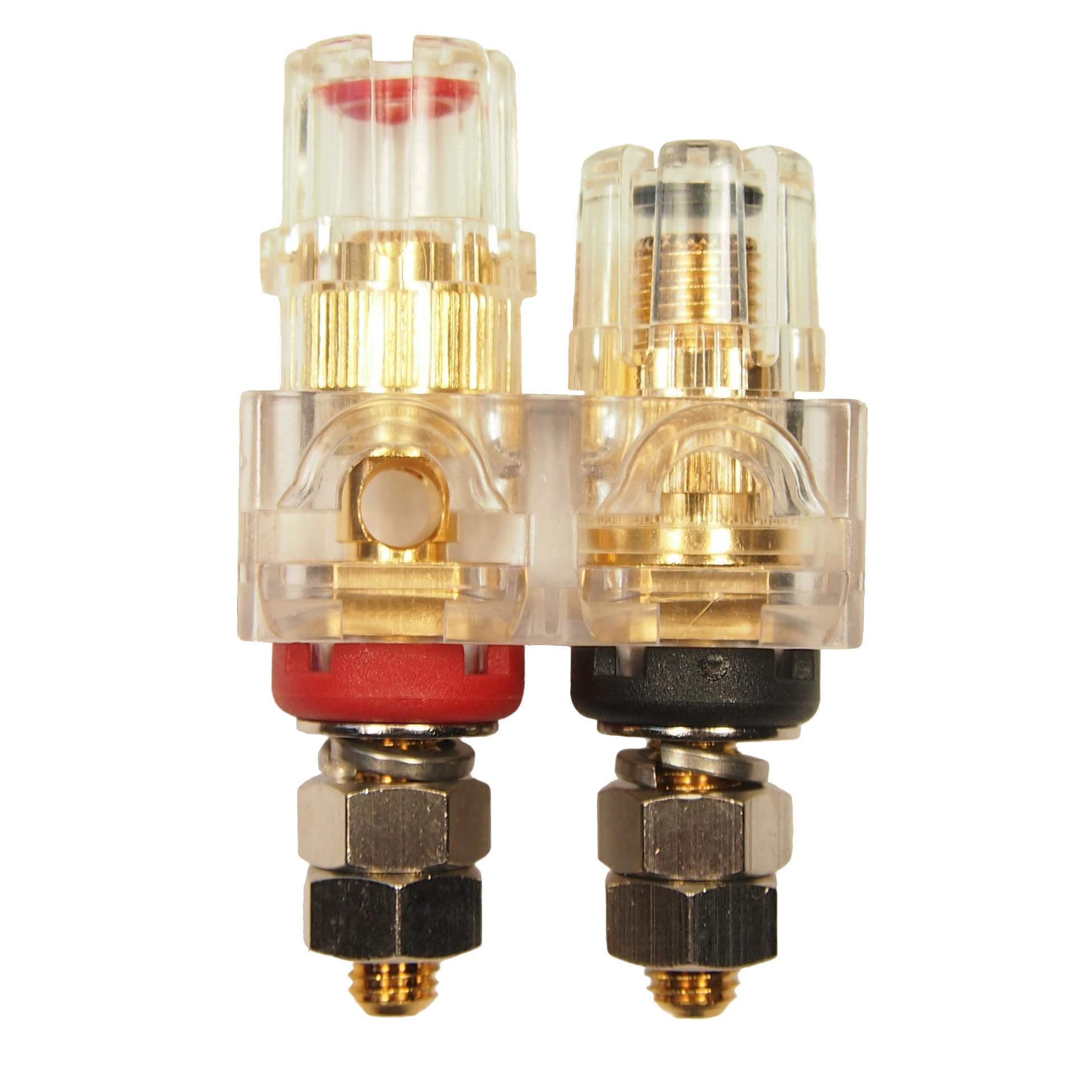 TPP60CSG CLEAR RED BLACK GOLD