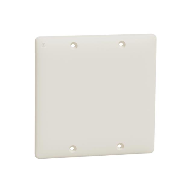 2 GANG BLANK WALL PLATE LA
