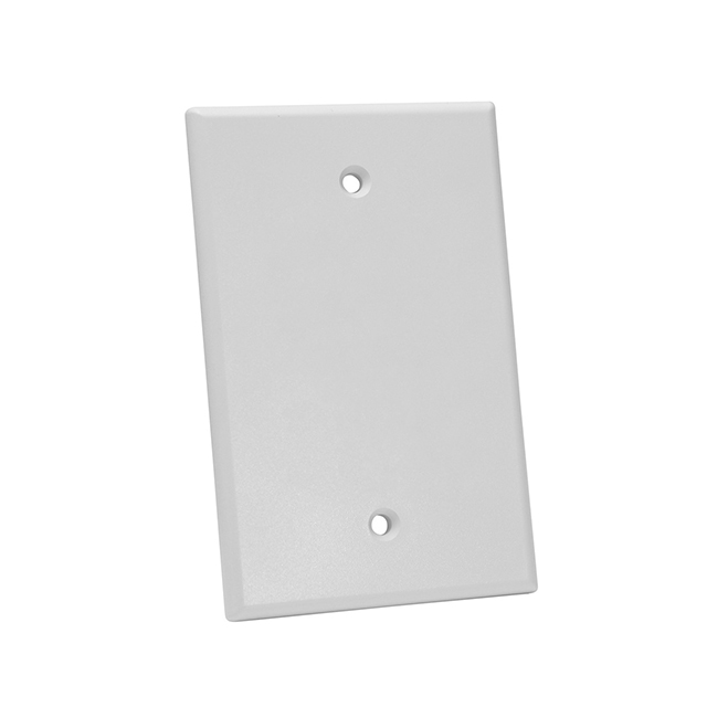 OVERSIZED KEYSTONE WALL PLATE SI