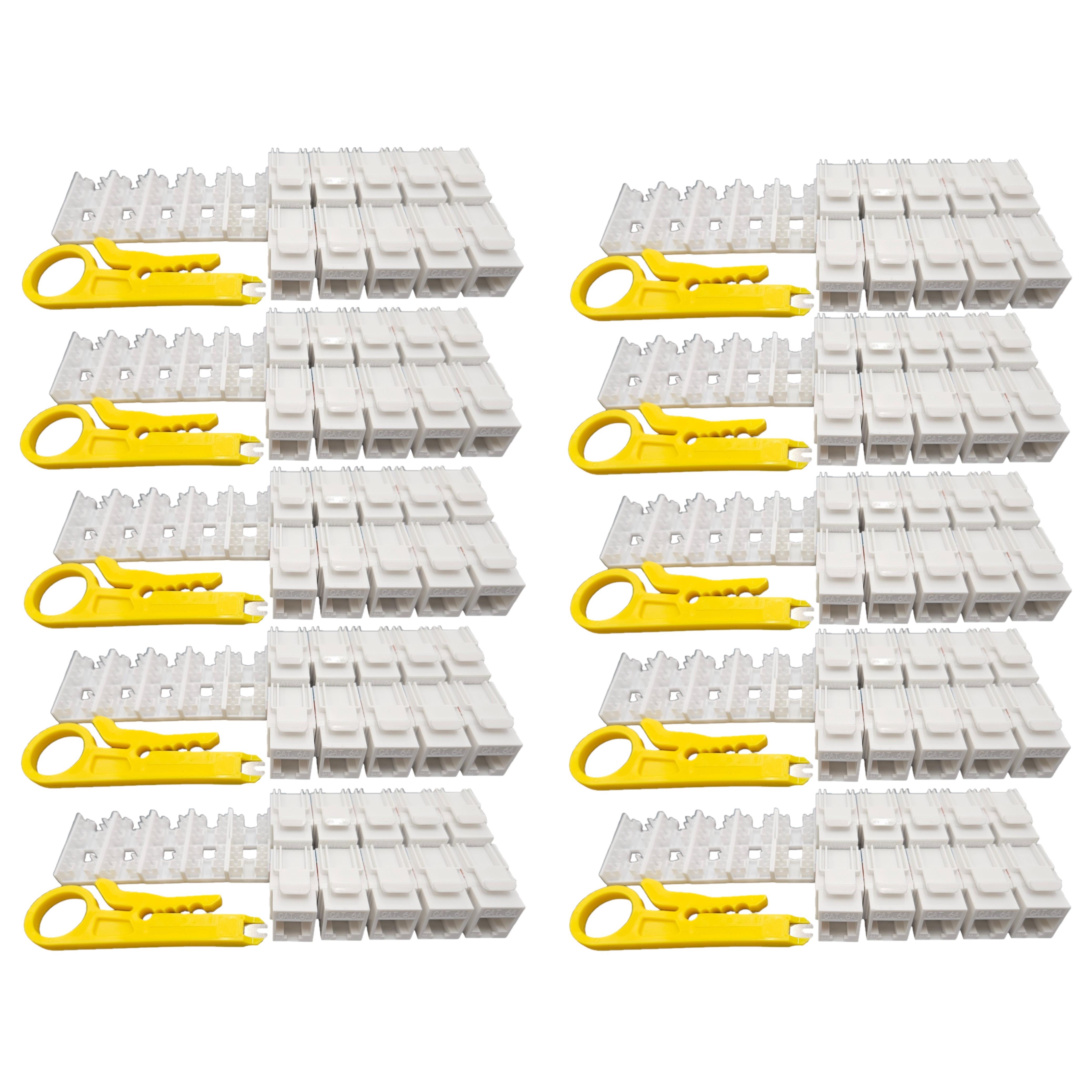 CAT6A RJ45 Keystone w/ Tool 100P