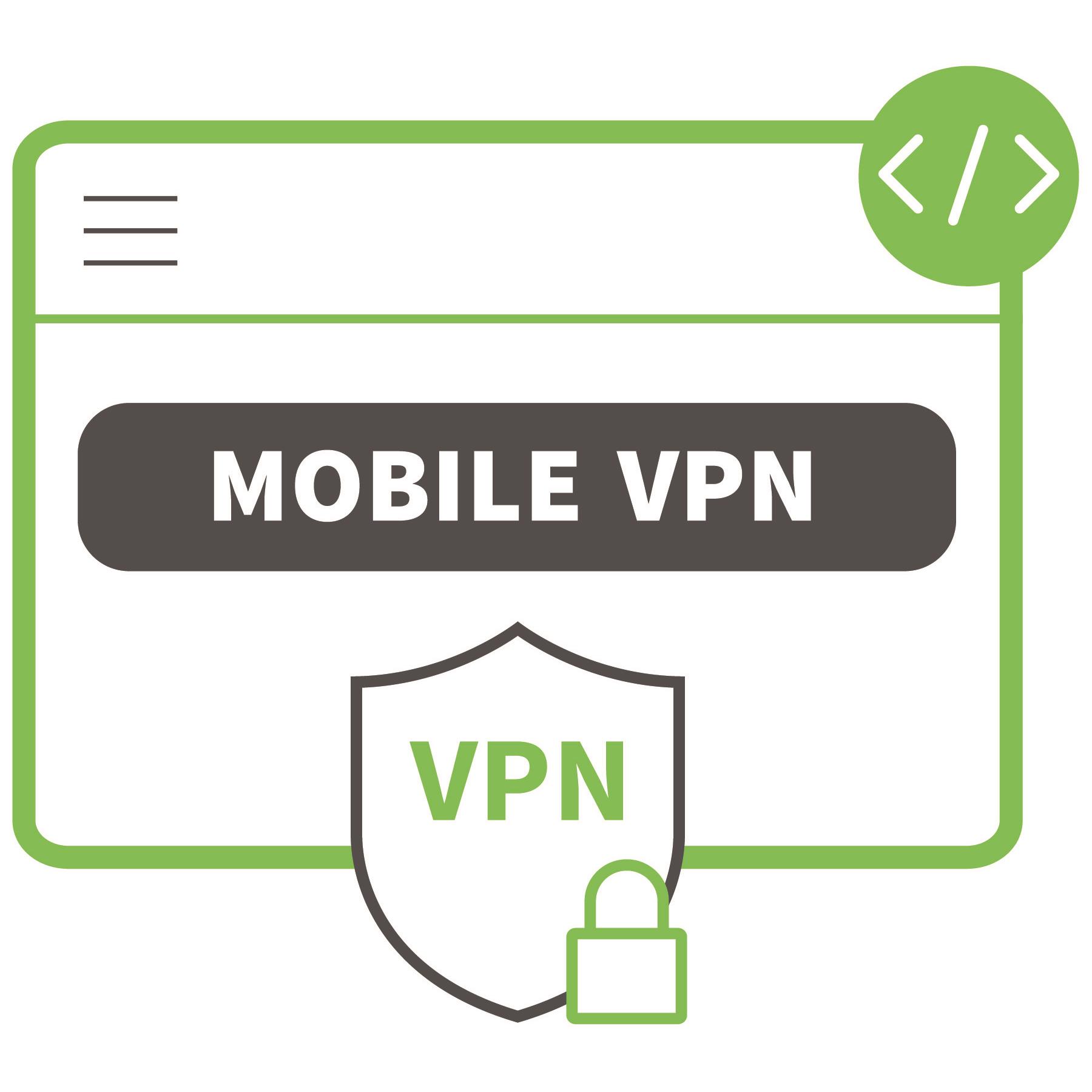 MOBILE VPN- PUBLIC SAFETY 1 YEAR