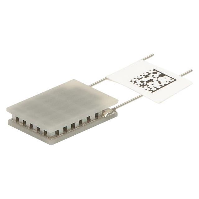 OTX19,23,F1N,0608,11,W2.25