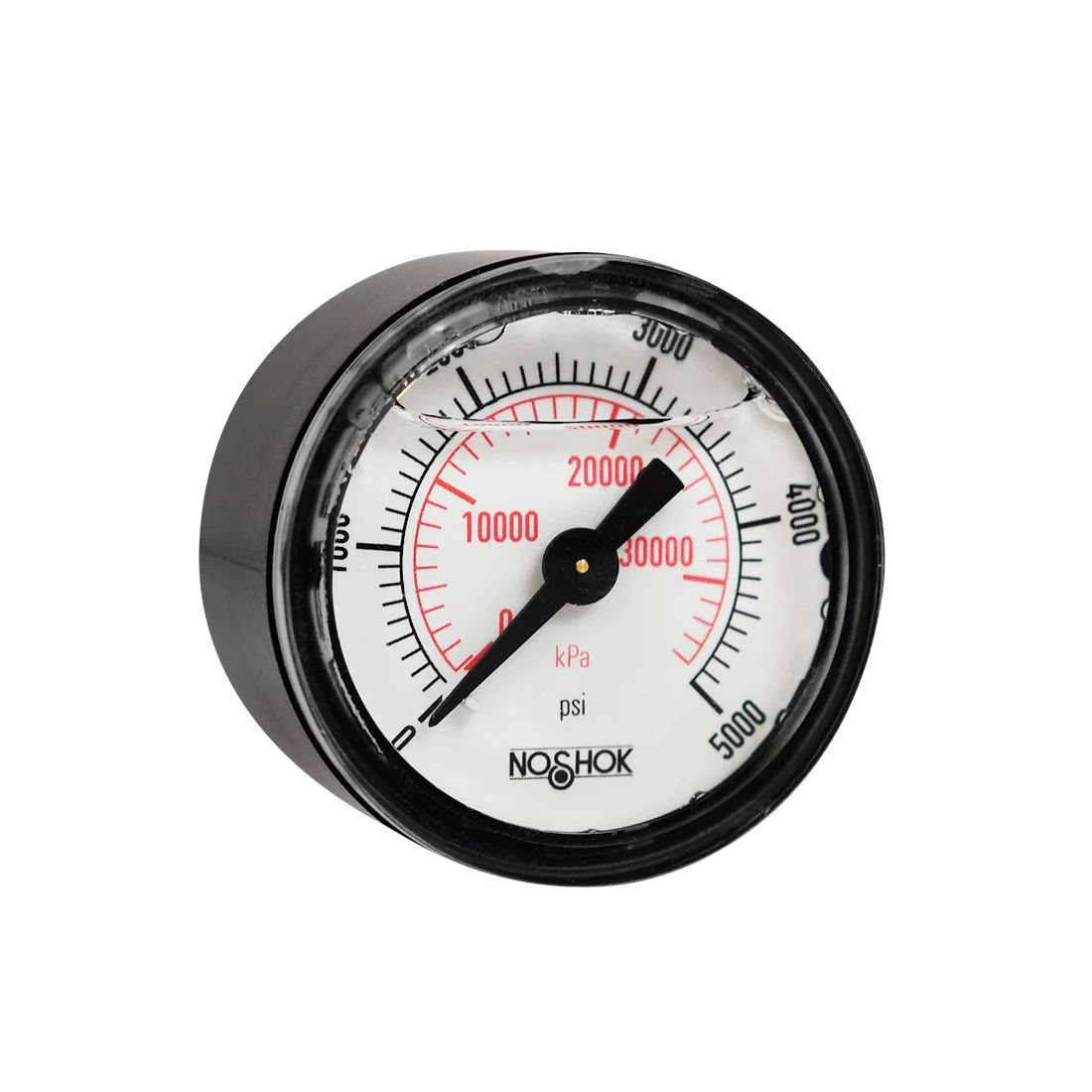 Liquid Filled Pressure Gauge